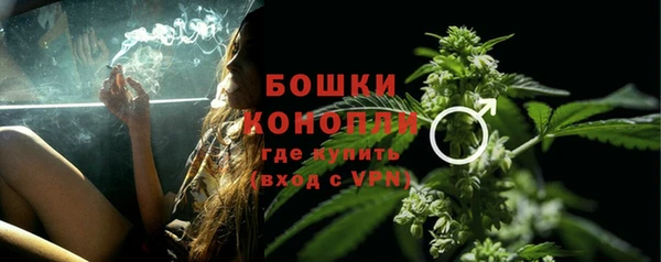 спиды Бородино