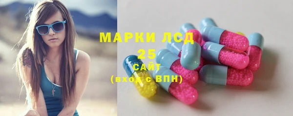 шишки Бронницы