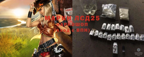 шишки Бронницы