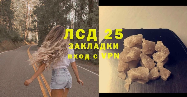 спиды Бородино