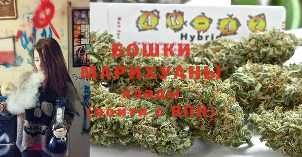 мдпв Бугульма