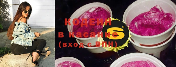 спиды Бородино