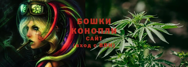 шишки Бронницы